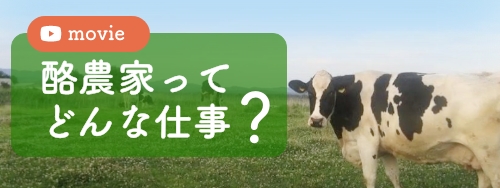 （動画）酪農家ってどんな仕事